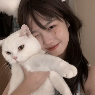 伏龙手游官方下载